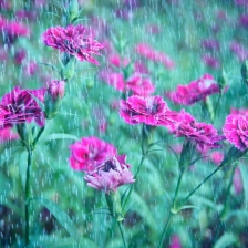 Rainy Day by NITA KURNIA PURADIREDJA